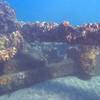 Picture taken during the dive
