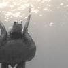 Picture taken during the dive