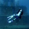 Picture taken during the dive