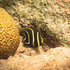 Picture taken during the dive