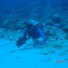 Picture taken during the dive