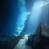 Picture taken during the dive