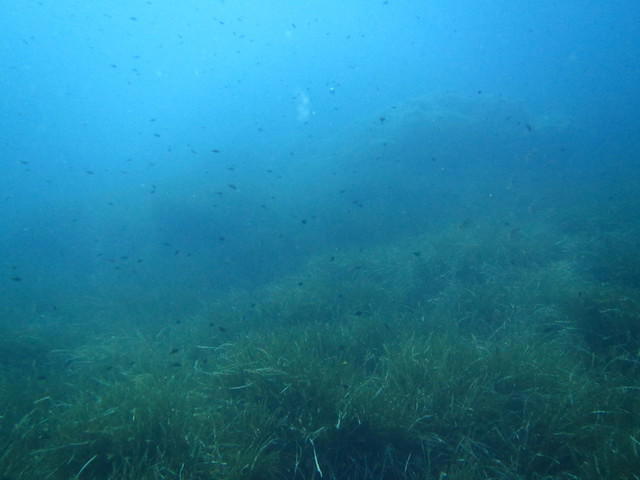 CENTRE DE PLONGEE CASTILLE - Dive Center in France