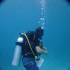 Picture taken during the dive