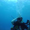 Picture taken during the dive