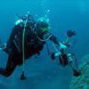 Picture taken during the dive