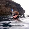 Picture taken during the dive