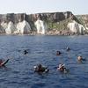 Picture taken during the dive