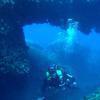 Picture taken during the dive
