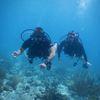 Picture taken during the dive