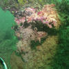 Picture taken during the dive