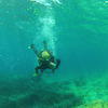 Picture taken during the dive