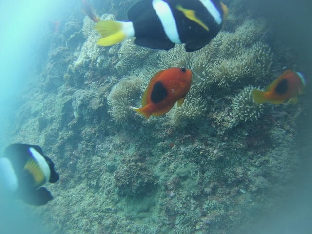 Railay Dive Center - Dive Center