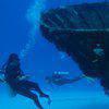 Picture taken during the dive