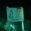 Picture taken during the dive