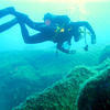 Picture taken during the dive