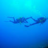 Picture taken during the dive