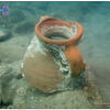 Picture taken during the dive
