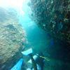 Picture taken during the dive