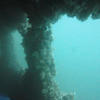 Picture taken during the dive
