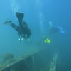 Picture taken during the dive