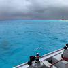 Picture taken during the dive