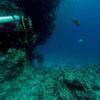 Picture taken during the dive