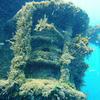 Picture taken during the dive