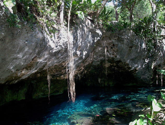 Yucatek Divers - Dive Center in United States