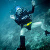 Picture taken during the dive