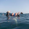 Picture taken during the dive