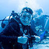 Picture taken during the dive