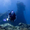 Picture taken during the dive