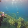 Picture taken during the dive
