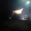 Picture taken during the dive