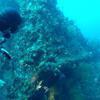 Picture taken during the dive