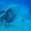 Picture taken during the dive
