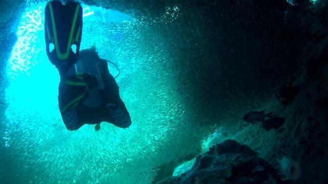 Diving in Seychelles, St Anne - By Jean-François Triandafyllides