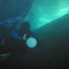 Picture taken during the dive