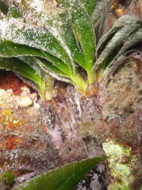 Aquatours Almeria - Dive Center in Spain