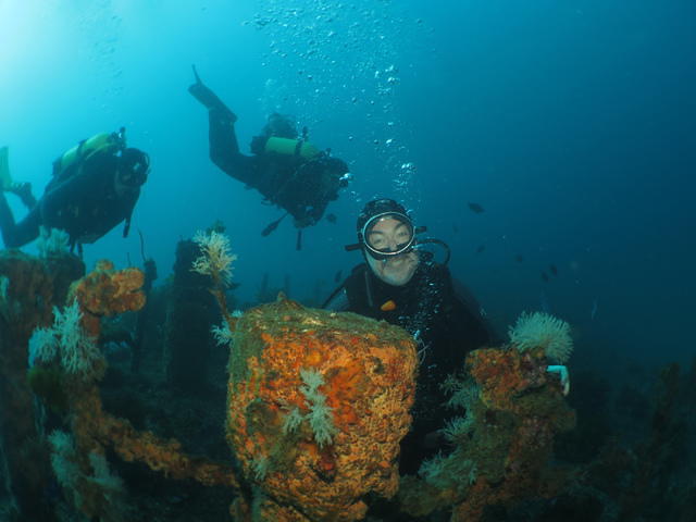 Paihia Dive - Dive Center in New Zealand