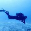 Picture taken during the dive
