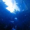 Picture taken during the dive