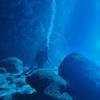 Picture taken during the dive