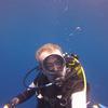 Picture taken during the dive