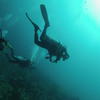 Picture taken during the dive