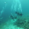 Picture taken during the dive