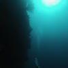 Picture taken during the dive