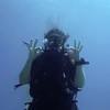 Picture taken during the dive