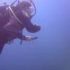 Picture taken during the dive